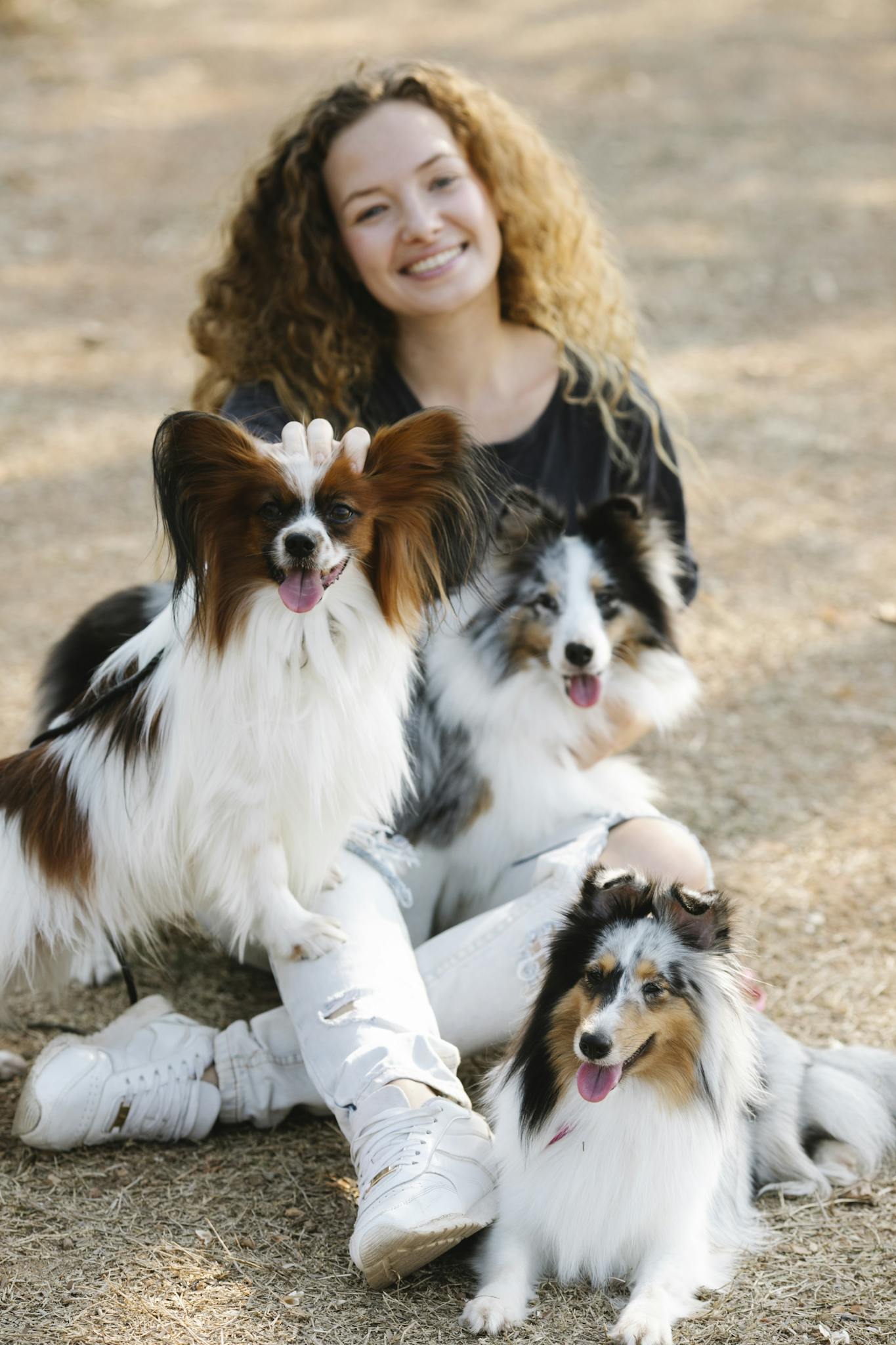 Young woman sitting with three happy Papillon dogs outdoors.